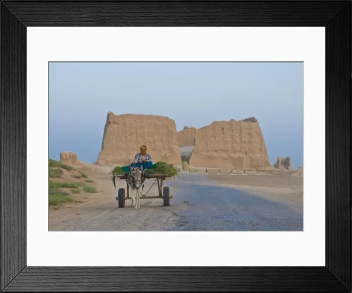 Framed Print : Woman sitting on a donkey cart, Merv, UNESCO World Heritage Site, Turkmenistan Framed Print : Woman sitting on a donkey cart, Merv, UNESCO World Heritage Site, Turkmenistan
