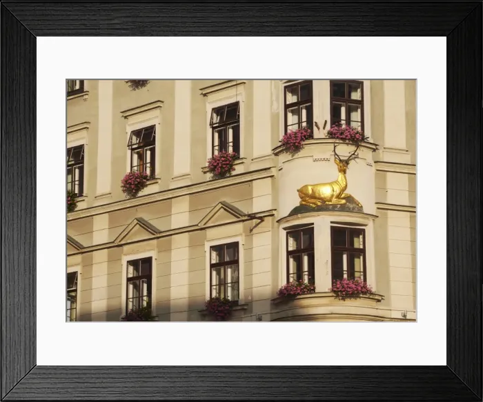 Framed Print : Architecture in Upper Square (Horni Namesti), Moravia, Olomouc, Czech Republic, Europe Framed Print : Architecture in Upper Square (Horni Namesti), Moravia, Olomouc, Czech Republic, Europe