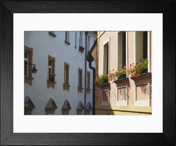 Framed Print : Colourful flowers on window sills, Olomouc, Moravia, Czech Republic, Europe Framed Print : Colourful flowers on window sills, Olomouc, Moravia, Czech Republic, Europe