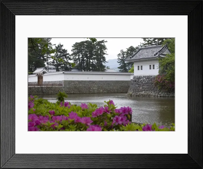 Framed Print : Odawara Castle, a Hojo clan stronghold until destroyed, rebuilt in the 1960s, Japan Framed Print : Odawara Castle, a Hojo clan stronghold until destroyed, rebuilt in the 1960s, Japan