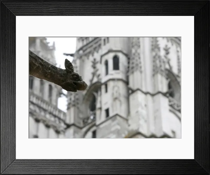 Framed Print : St. Gatien Cathedral gargoyle, Tours, Indre-et-Loire, France, Europe Framed Print : St. Gatien Cathedral gargoyle, Tours, Indre-et-Loire, France, Europe