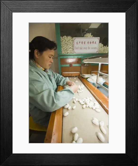 Framed Print : No. 1 Silk Factory, Suzhou, Jiangsu, China, Asia Framed Print : No. 1 Silk Factory, Suzhou, Jiangsu, China, Asia