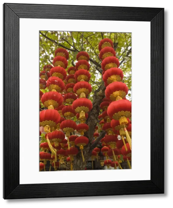 Framed Print : Lanterns, Shanghai City God Temple, Shanghai, China Framed Print : Lanterns, Shanghai City God Temple, Shanghai, China