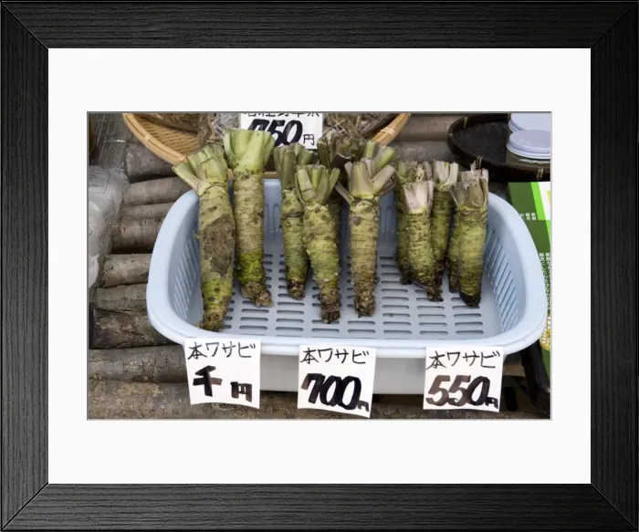 Framed Print : Three different sizes of raw wasabi horseradish root for sale at a market in Echizen-Ono