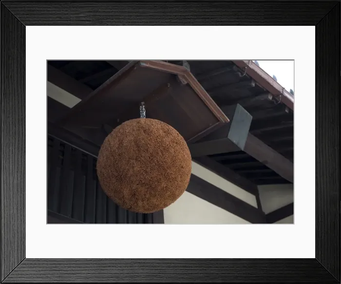 Framed Print : Traditional sugidama cedar ball sign hanging in front of sake shop in Echizen-Ono Framed Print : Traditional sugidama cedar ball sign hanging in front of sake shop in Echizen-Ono