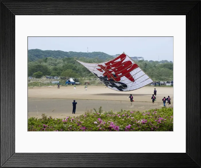 Framed Print : Sagami Kite Festival which boasts the largest kite in Japan at over 14 meters square Framed Print : Sagami Kite Festival which boasts the largest kite in Japan at over 14 meters square
