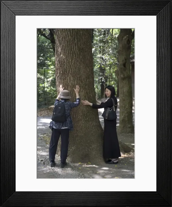 Framed Print : Japanese Shinto religion understands that all objects have a spirit including the energy in a tree Framed Print : Japanese Shinto religion understands that all objects have a spirit including the energy in a tree