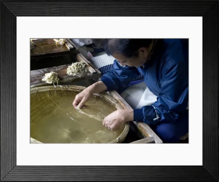 Framed Print : Separating mulberry fibers for making Japanese washi paper at the Echizen Washi No Sato village in Fukui