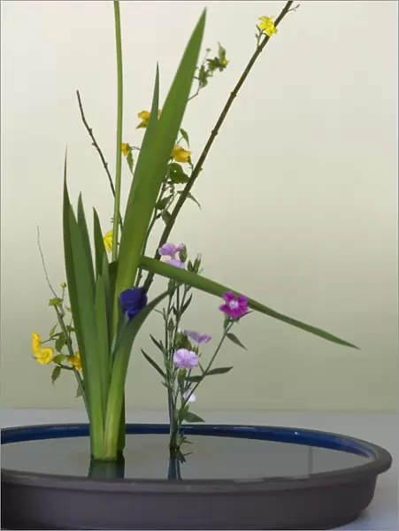 Japanese flower arranging (ikebana) also called the way of flowers (kado), Japan
