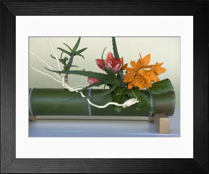 Framed Print : Japanese flower arranging (ikebana) also called the way of flowers (kado), Japan Framed Print : Japanese flower arranging (ikebana) also called the way of flowers (kado), Japan