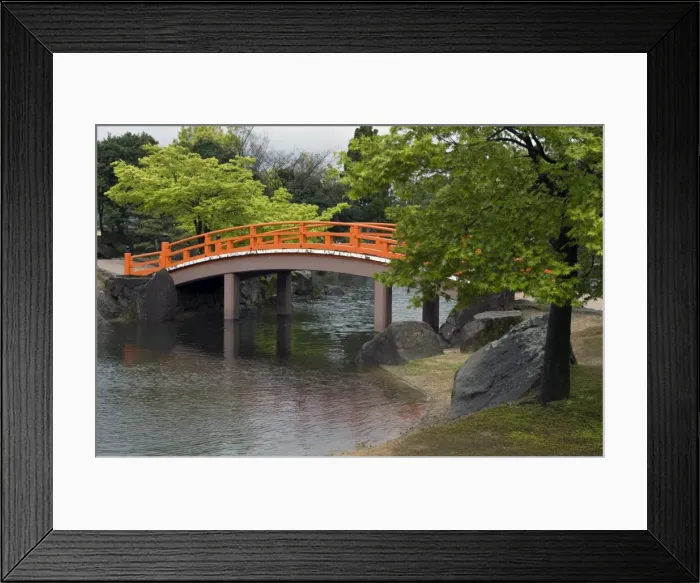 Framed Print : Vermilion-colored arched bridge at Murasaki Shikibu Park in Takefu City, Fukui, Japan