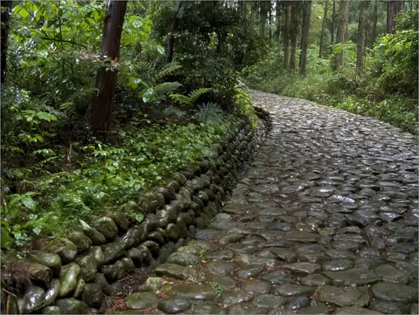 Stone paving called ishidatami on old Tokaido Road in Shizuoka that once stretched from Tokyo to Kyoto
