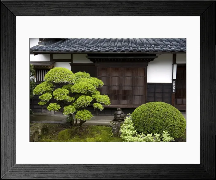 Framed Print : Neatly manicured landscape garden in courtyard of temple in Takufu, Fukui, Japan Framed Print : Neatly manicured landscape garden in courtyard of temple in Takufu, Fukui, Japan