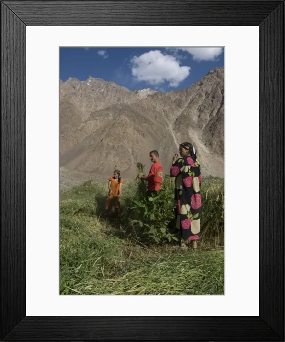 Framed Print : Farming family working in the field, Bartang Valley, Tajikistan, Central Asia, Asia Framed Print : Farming family working in the field, Bartang Valley, Tajikistan, Central Asia, Asia