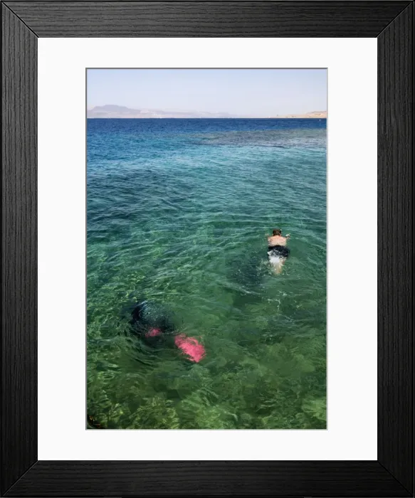 Framed Print : Diver, Aqaba, Jordan, Middle East Framed Print : Diver, Aqaba, Jordan, Middle East