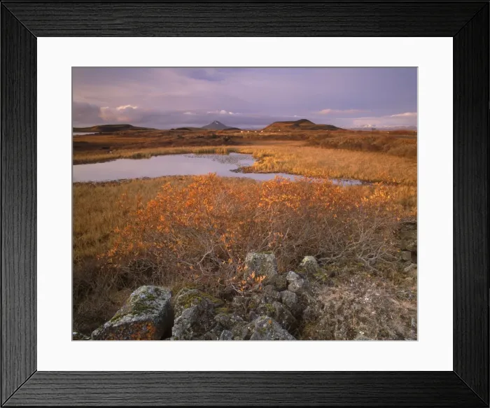 Framed Print : Ponds, pseudo-craters, Mount Hlidarfjall, 771 m, in the distance, from near Skutustadir Framed Print : Ponds, pseudo-craters, Mount Hlidarfjall, 771 m, in the distance, from near Skutustadir