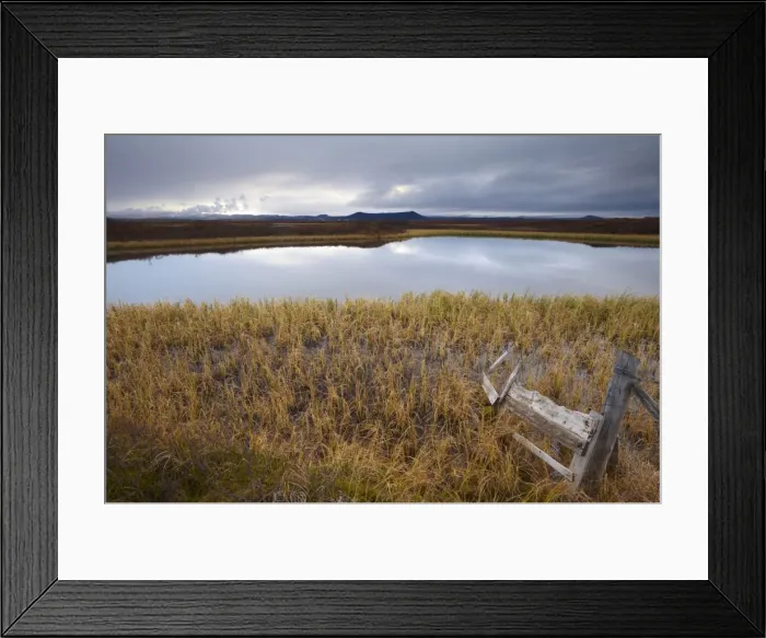Framed Print : Lake Myvatn, bird protected area in autumn, north-west shore of lake, looking eastwards Framed Print : Lake Myvatn, bird protected area in autumn, north-west shore of lake, looking eastwards