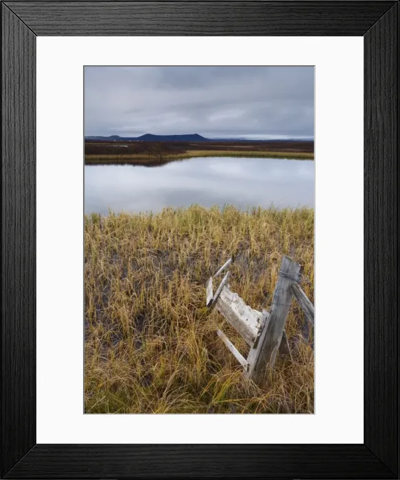 Framed Print : Lake Myvatn, bird protected area in autumn, north-west shore of lake, looking eastwards Framed Print : Lake Myvatn, bird protected area in autumn, north-west shore of lake, looking eastwards