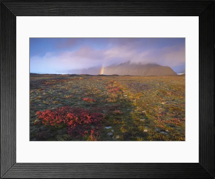Framed Print : Autumn colours and rainbow over Illuklettar near Skaftafellsjokull glacier seen in the distance Framed Print : Autumn colours and rainbow over Illuklettar near Skaftafellsjokull glacier seen in the distance