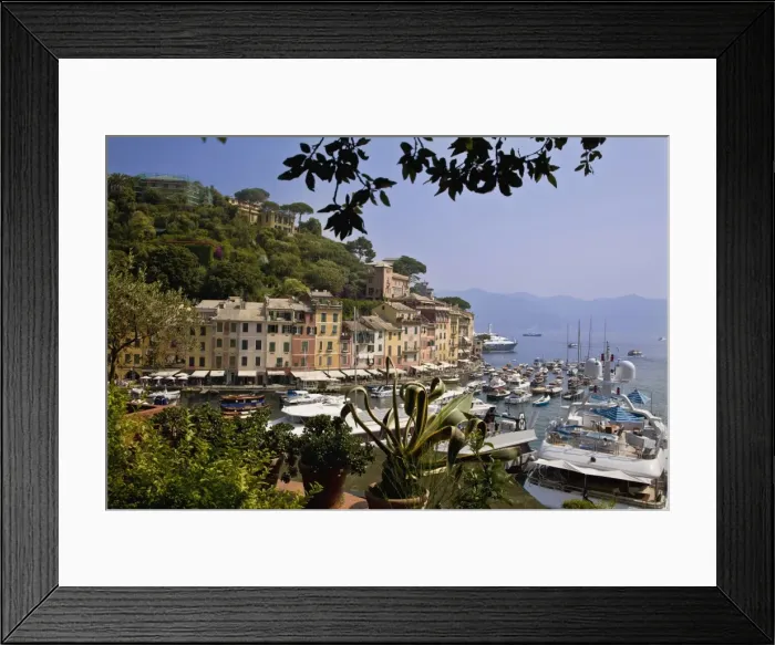 Framed Print : Portofino, Liguria, Italy, Europe Framed Print : Portofino, Liguria, Italy, Europe
