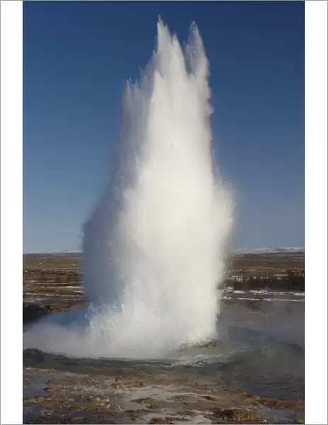 Strokkur (the Churn) erupts every 5-10 minutes to heights of up to 20 meters (70ft)