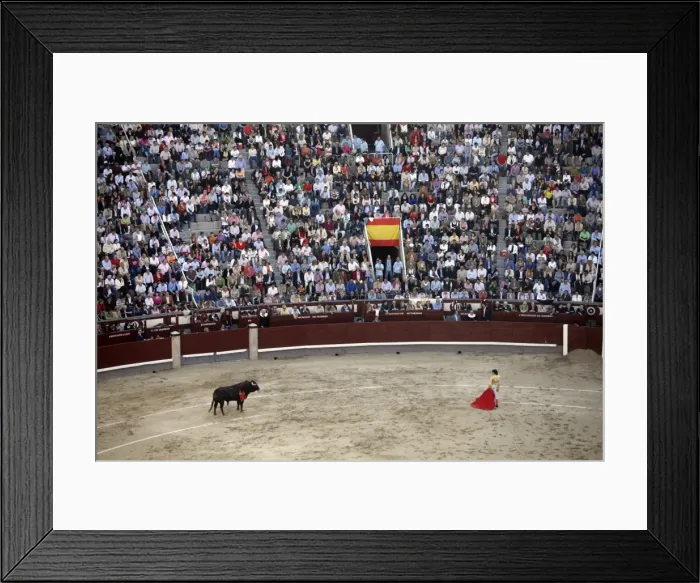 Framed Print : A bullfight takes place in Las Ventas, Madrid, Spain, Europe Framed Print : A bullfight takes place in Las Ventas, Madrid, Spain, Europe