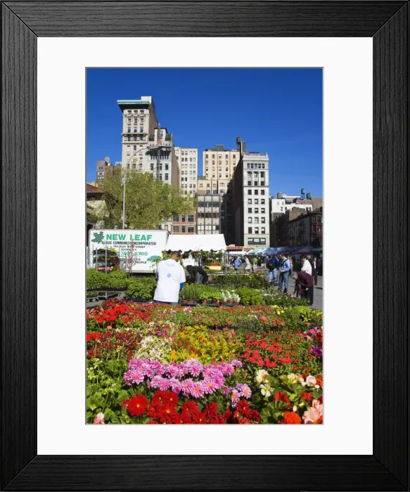 Framed Print : Farmers Market in Union Square, Midtown Manhattan, New York City, New York Framed Print : Farmers Market in Union Square, Midtown Manhattan, New York City, New York
