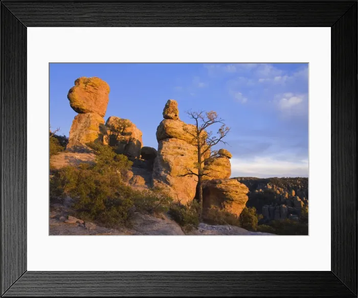 Framed Print : Rock formations in Chiricahua National Monument, Willcox, Cochise County Framed Print : Rock formations in Chiricahua National Monument, Willcox, Cochise County