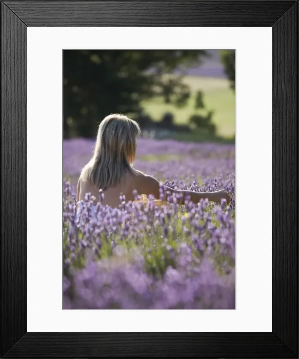 Framed Print : Woman in a lavender field, Provence, France, Europe Framed Print : Woman in a lavender field, Provence, France, Europe