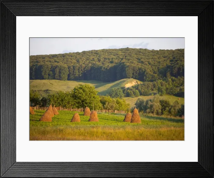 Framed Print : Countryside near Guru Humorului, Bucovina, Romania, Europe Framed Print : Countryside near Guru Humorului, Bucovina, Romania, Europe