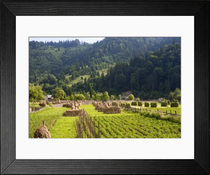 Framed Print : Countryside, Frumosu, Bucovina, Romania, Europe Framed Print : Countryside, Frumosu, Bucovina, Romania, Europe