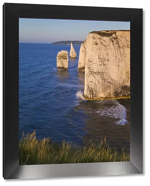 The Pinnacles, Studland, Isle of Purbeck, Dorset, England, United Kingdom, Europe