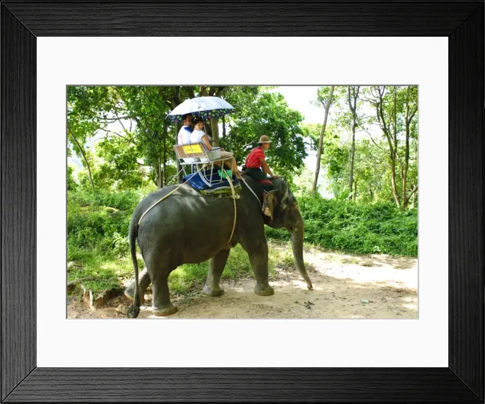 Framed Print : Riding elephants in the Chalong Highlands, Phuket, Thailand, Southeast Asia, Asia Framed Print : Riding elephants in the Chalong Highlands, Phuket, Thailand, Southeast Asia, Asia