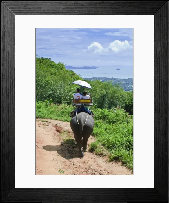 Framed Print : Riding elephants in the Chalong Highlands, Phuket, Thailand, Southeast Asia, Asia Framed Print : Riding elephants in the Chalong Highlands, Phuket, Thailand, Southeast Asia, Asia