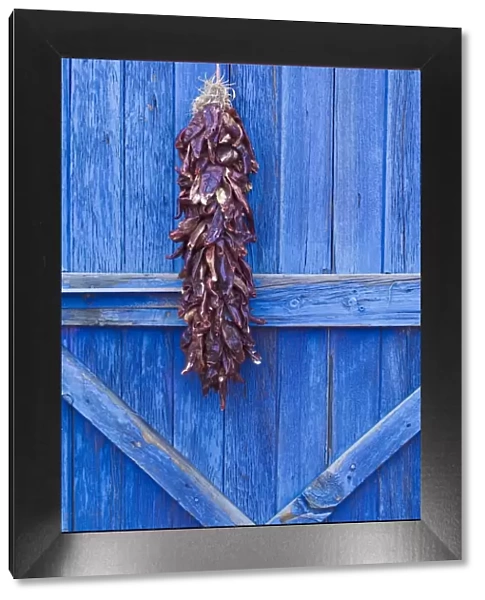 Red chilli peppers on barn door, New Mexico, United States of America, North America