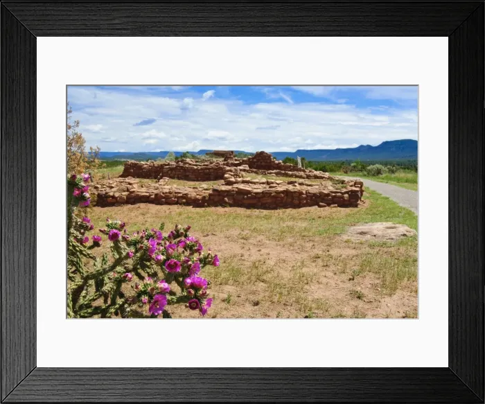 Framed Print : Cactus blossoms at Pecos National Historical Park, New Mexico, United States of America Framed Print : Cactus blossoms at Pecos National Historical Park, New Mexico, United States of America