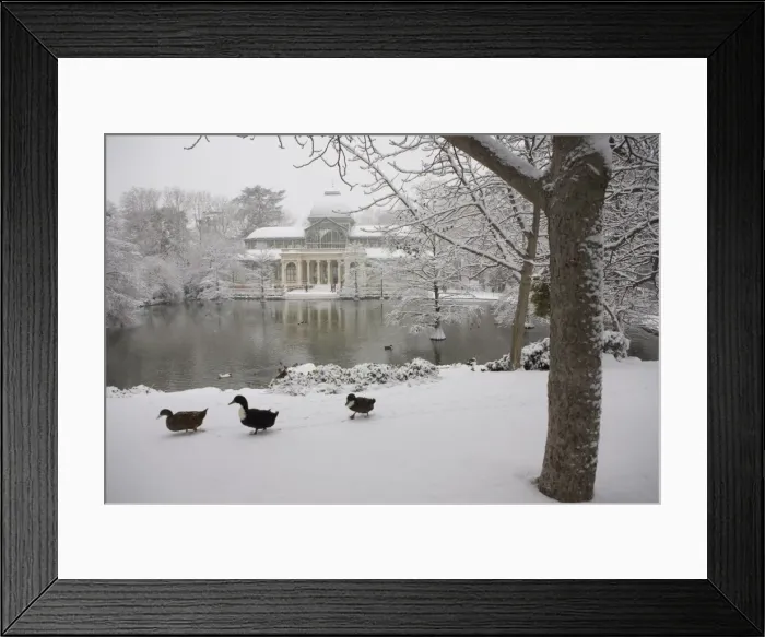 Framed Print : Crystal palace in the snow, Retiro Park, Madrid, Spain, Europe Framed Print : Crystal palace in the snow, Retiro Park, Madrid, Spain, Europe