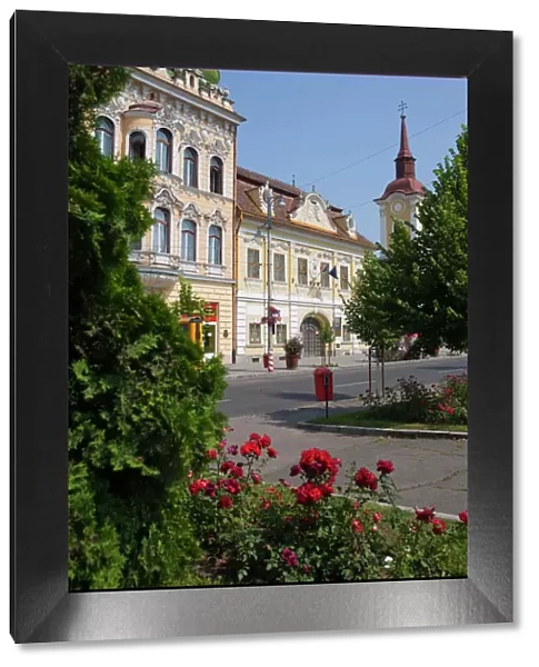 Trandafirilor square, Targu Mures, Transylvania, Romania, Europe