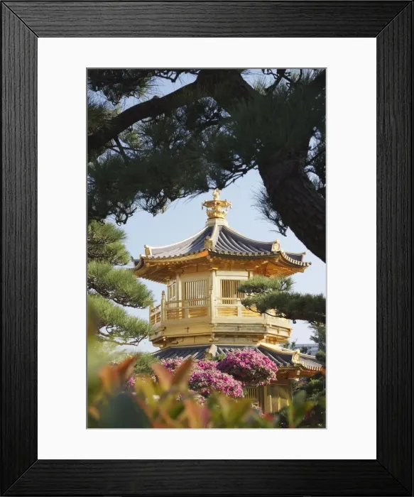Framed Print : Golden Pagoda in Nan Lian Garden near Chi Lin Nunnery, Diamond Hill, Kowloon Framed Print : Golden Pagoda in Nan Lian Garden near Chi Lin Nunnery, Diamond Hill, Kowloon