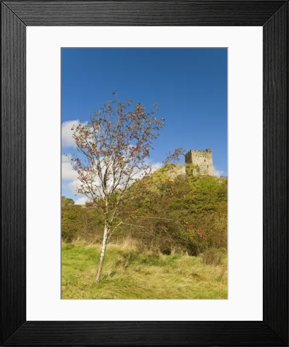 Framed Print : Dolwyddelan Castle, Dolwyddelan, nr Betws y Coed, Snowdonia National Park Framed Print : Dolwyddelan Castle, Dolwyddelan, nr Betws y Coed, Snowdonia National Park