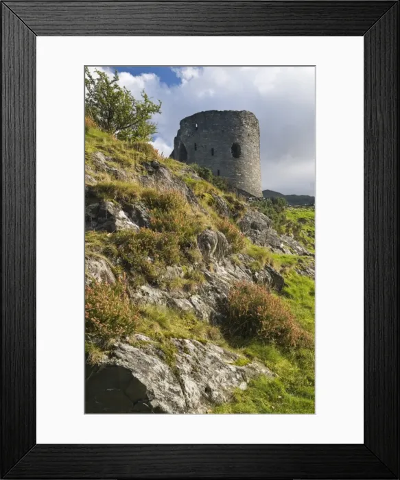 Framed Print : The derelict keep of Dolbadarn Castle on the banks of Llyn Padarn near Llanberis Framed Print : The derelict keep of Dolbadarn Castle on the banks of Llyn Padarn near Llanberis