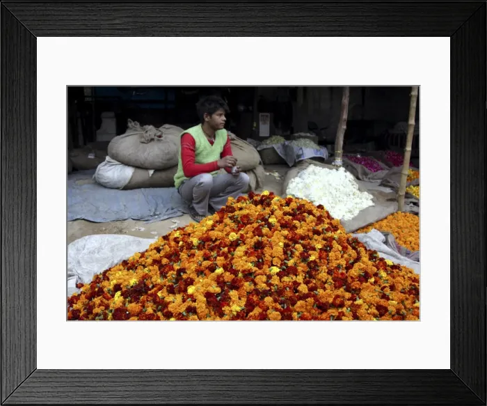 Framed Print : Flower vendor, Delhi, India, Asia Framed Print : Flower vendor, Delhi, India, Asia