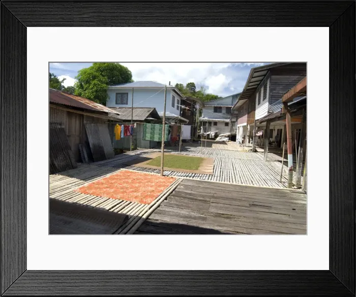 Framed Print : Washing and green peppercorns drying at Annah Rais Bidayuh Longhouse, Sarawak Framed Print : Washing and green peppercorns drying at Annah Rais Bidayuh Longhouse, Sarawak