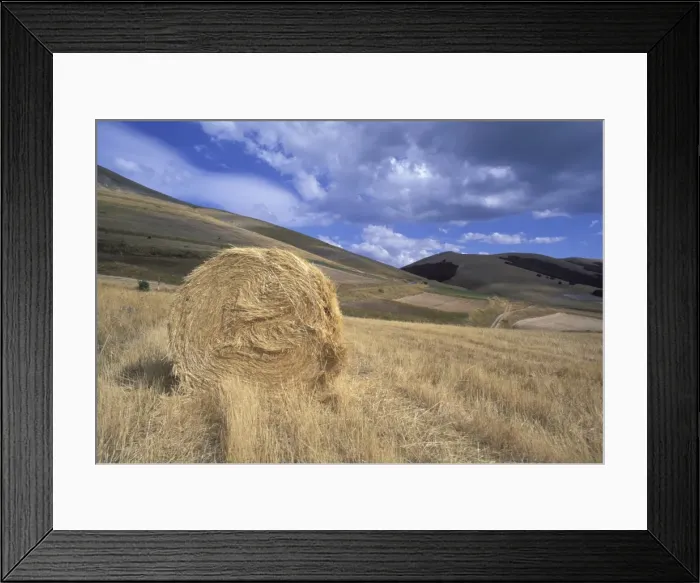 Framed Print : Hay bale, Umbria, Italy, Europe Framed Print : Hay bale, Umbria, Italy, Europe