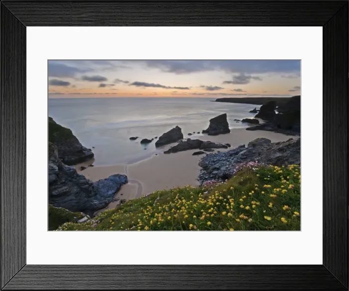 Framed Print : Spring wildflowers on the clifftops overlooking Bedruthan Steps, North Cornwall Framed Print : Spring wildflowers on the clifftops overlooking Bedruthan Steps, North Cornwall