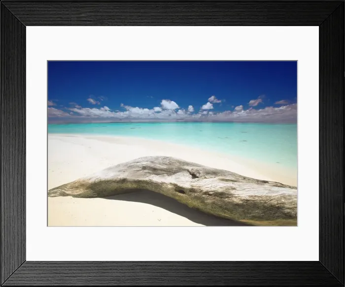 Framed Print : Driftwood on the beach, Maldives, Indian Ocean, Asia