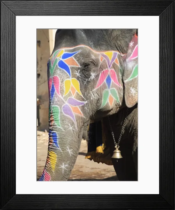 Framed Print : Painted elephant, Amber Fort Palace, Jaipur, Rajasthan, India, Asia Framed Print : Painted elephant, Amber Fort Palace, Jaipur, Rajasthan, India, Asia