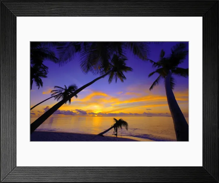 Framed Print : Palm trees and ocean at sunset, Maldives, Indian Ocean, Asia Framed Print : Palm trees and ocean at sunset, Maldives, Indian Ocean, Asia
