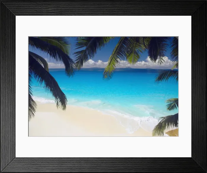 Framed Print : Empty beach and palms trees, Seychelles, Indian Ocean, Africa Framed Print : Empty beach and palms trees, Seychelles, Indian Ocean, Africa