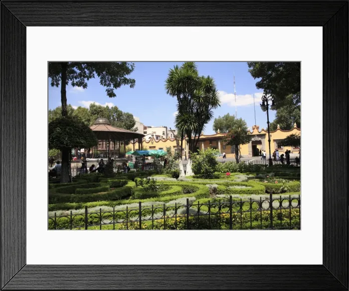 Framed Print : Plaza Hidalgo, Coyoacan, Mexico City, Mexico, North America Framed Print : Plaza Hidalgo, Coyoacan, Mexico City, Mexico, North America